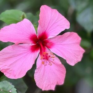 Meet your Posher, Meghan